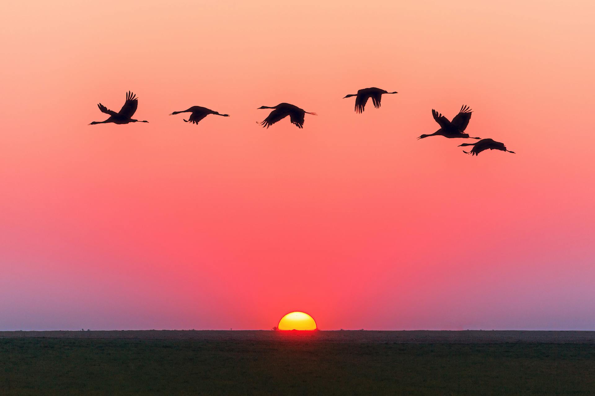 Golden sunset over Lowcountry marsh and waterway near Beaufort, South Carolina